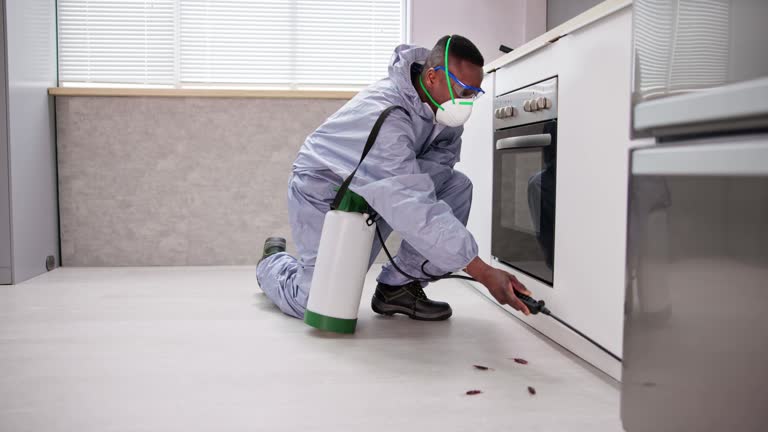 Best Pest Prevention Services  in San Marcos, TX